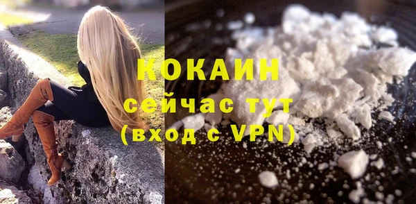 дживик Баксан