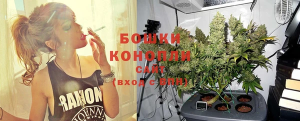 дживик Баксан