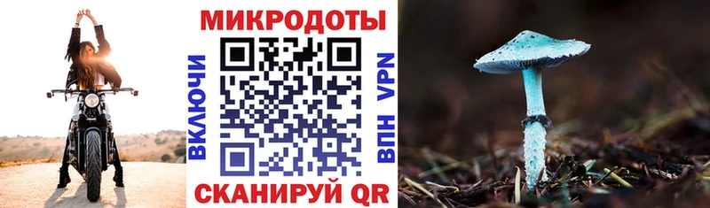 Купить Гусиноозёрск Псилоцибиновые грибы Psilocybine cubensis