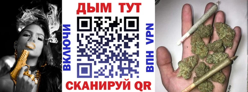 Бошки Шишки марихуана  Купить  Гусиноозёрск 